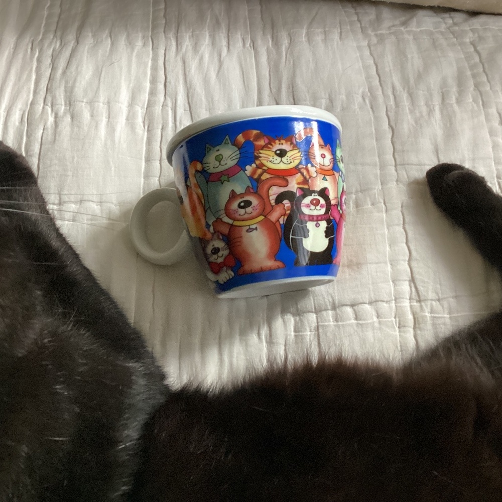 STOKES GOURMET LARGE CAT THEMED MUG WITH COVER